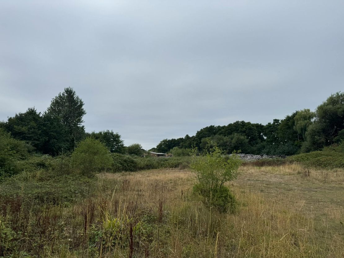 Kingswood Pallets, Oldhouse Lane, Bisley, GU24 9DB