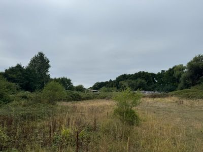 Property Image for Kingswood Pallets, Oldhouse Lane, Bisley, GU24 9DB