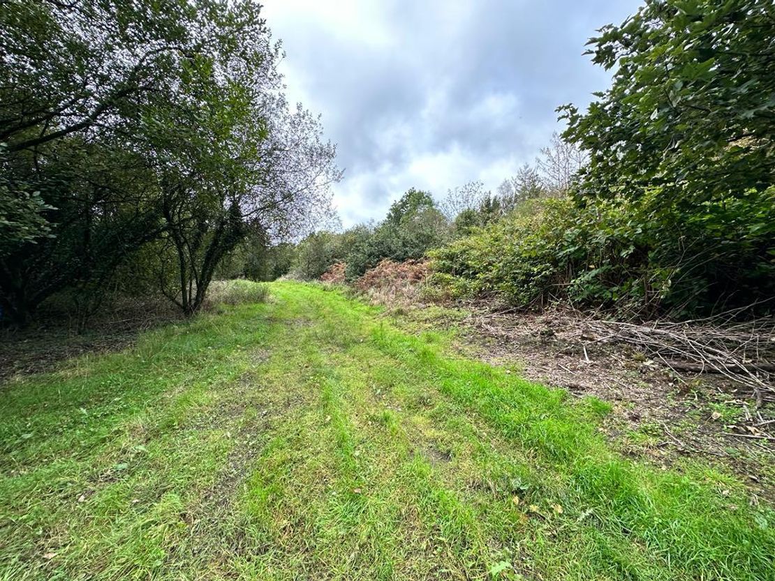 Heol Tabor, Cwmavon, Port Talbot