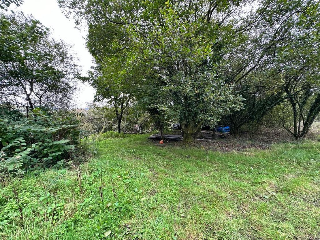 Heol Tabor, Cwmavon, Port Talbot