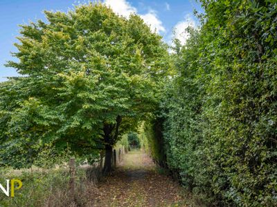 Property Image for Twinstead, Sudbury, Suffolk