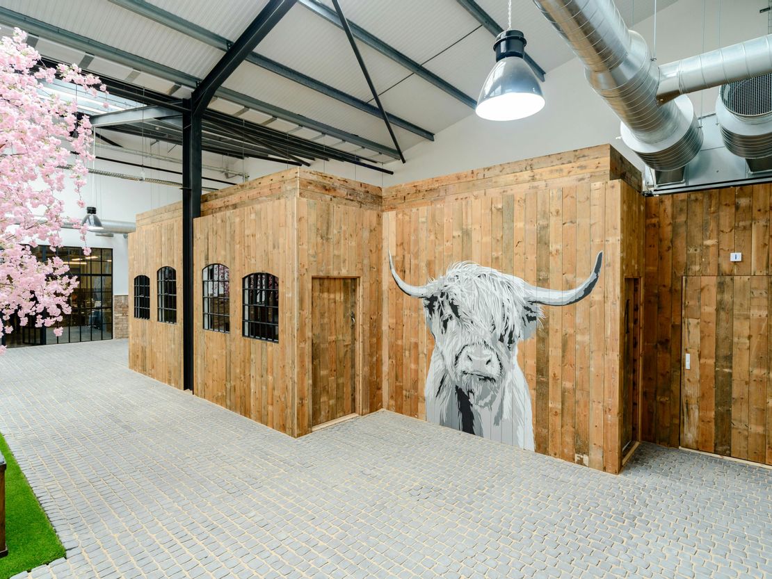 Suite CS1/2 The Cowshed, Wawensmere Road, Wootton Wawen, Henley-In-Arden, B95 6BP