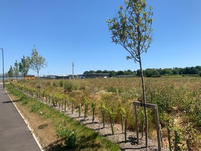 Property Image for Saltbox Business Park, Trade And Logistics City, Shripney Road, Bognor Regis, West Sussex, PO22 9NW