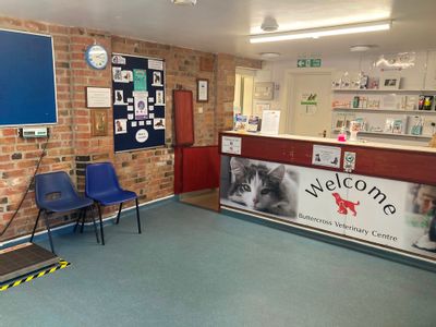 Property Image for Buttercross Veterinary Centre, Long Acre, Bingham, Nottinghamshire, NG13 8AF