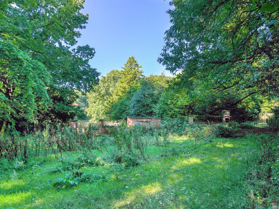 Coppice Lake, Shipley Park, Shipley Park, Derbyshire, Derbyshire, DE75 7GX