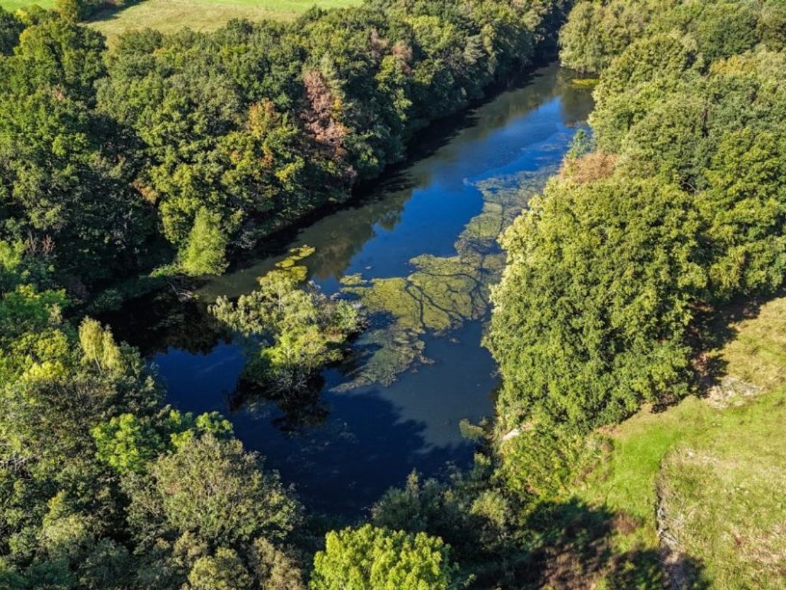 Coppice Lake, Shipley Park, Shipley Park, Derbyshire, Derbyshire, DE75 7GX