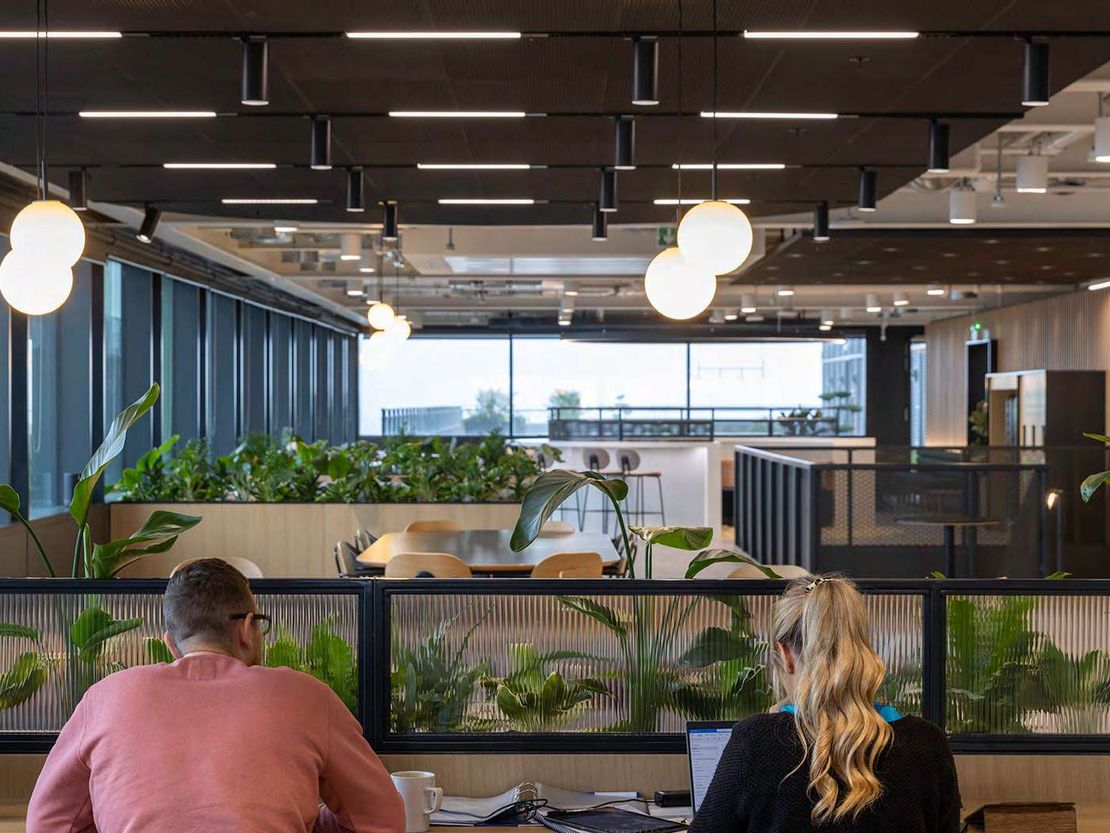 Endeavour, Sheffield Digital Campus, Sheffield, South Yorkshire, S1 2BJ