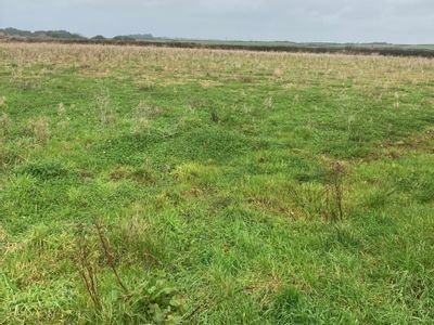 Property Image for Land Lying To The West Of Barley House, Tregurtha Downs Farm, Goldsithney, Penzance, Cornwall