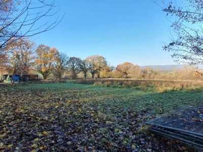 Property Image for Hayesden Herb & Honey Farm, Upper Hayesden Lane, Tonbridge, Kent