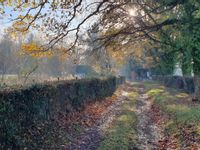 Property Image for Hayesden Herb & Honey Farm, Upper Hayesden Lane, Tonbridge, Kent