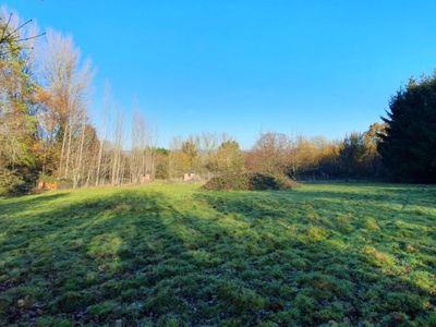 Property Image for Hayesden Herb & Honey Farm, Upper Hayesden Lane, Tonbridge, Kent