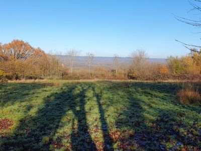 Property Image for Hayesden Herb & Honey Farm, Upper Hayesden Lane, Tonbridge, Kent