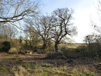 Property Image for Hill Farm, London Road, Washbrook, Ipswich, Suffolk, IP8 3LE