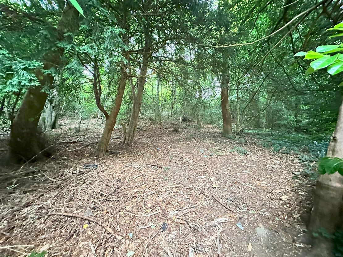 Gwyddon Road, Abercarn