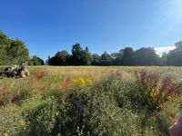 Property Image for Land At Norwich Road, Little Stonham, Stowmarket, Suffolk, IP14 5JT