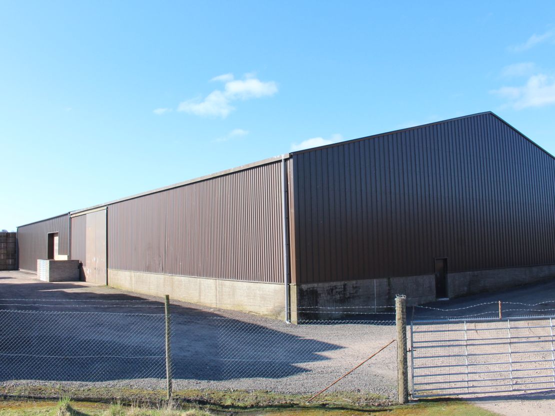 Scott Street, Brechin, DD9 7BG