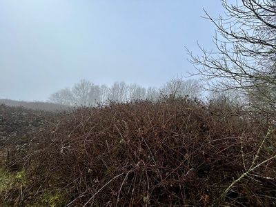 Property Image for Plot 4 At Arena House, Membury, Lambourn Woodlands, Hungerford, Berkshire, RG17 7TQ
