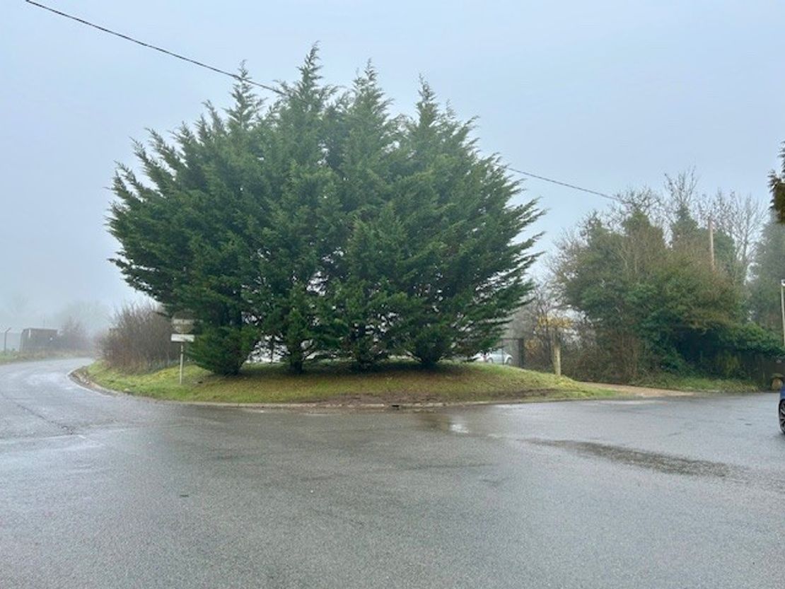 Plot 1 At Arena House, Membury, Lambourn Woodlands, Hungerford, Berkshire, RG17 7TQ