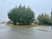 Property Image for Plot 1 At Arena House, Membury, Lambourn Woodlands, Hungerford, Berkshire, RG17 7TQ
