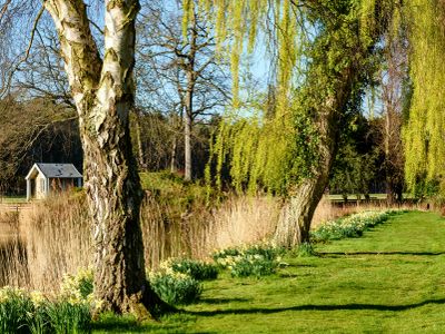 Property Image for Ketteringham Hall, Wymondham, NR18 9RS