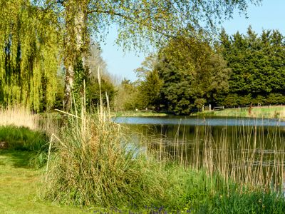 Property Image for Ketteringham Hall, Wymondham, NR18 9RS