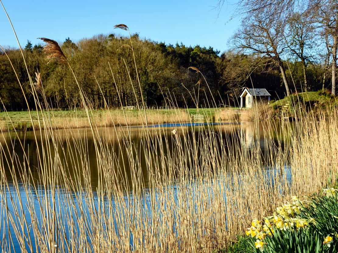 Ketteringham Hall, Wymondham, NR18 9RS
