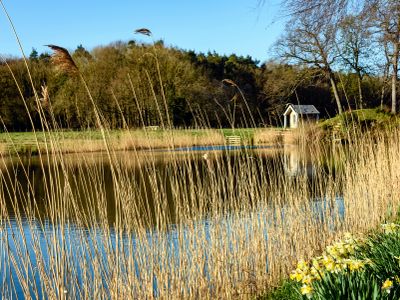 Property Image for Ketteringham Hall, Wymondham, NR18 9RS