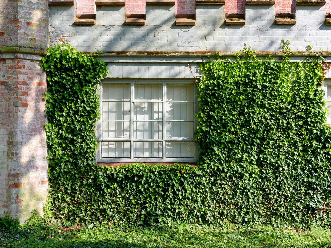 Ketteringham Hall, Wymondham, NR18 9RS