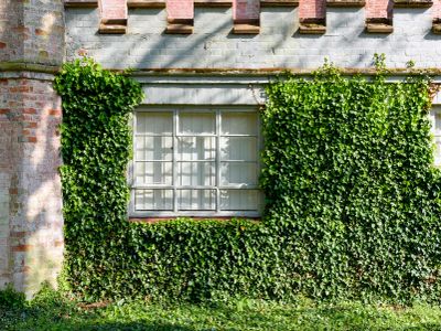 Property Image for Ketteringham Hall, Wymondham, NR18 9RS