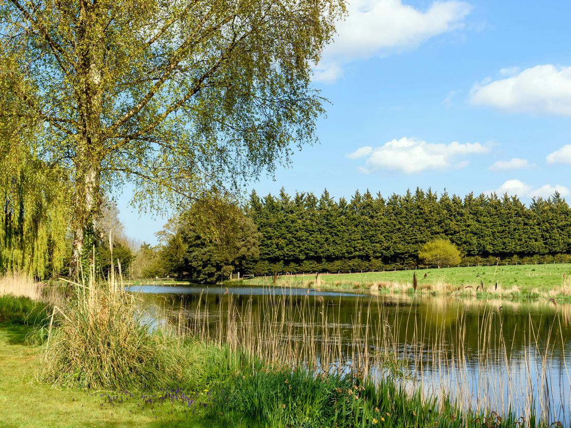 Ketteringham Hall, Wymondham, NR18 9RS