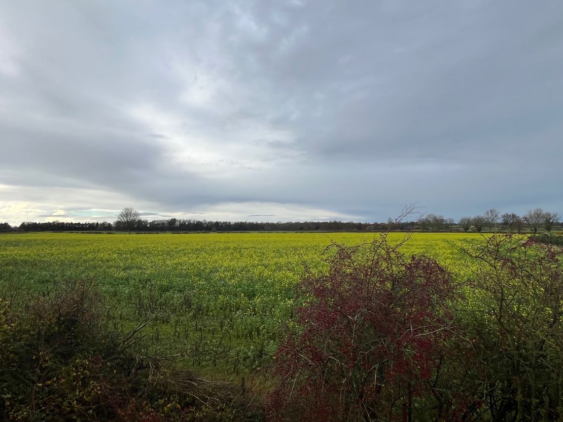 Unit 7 Apollo Business Park, Wroxton, Banbury OX15 6AY