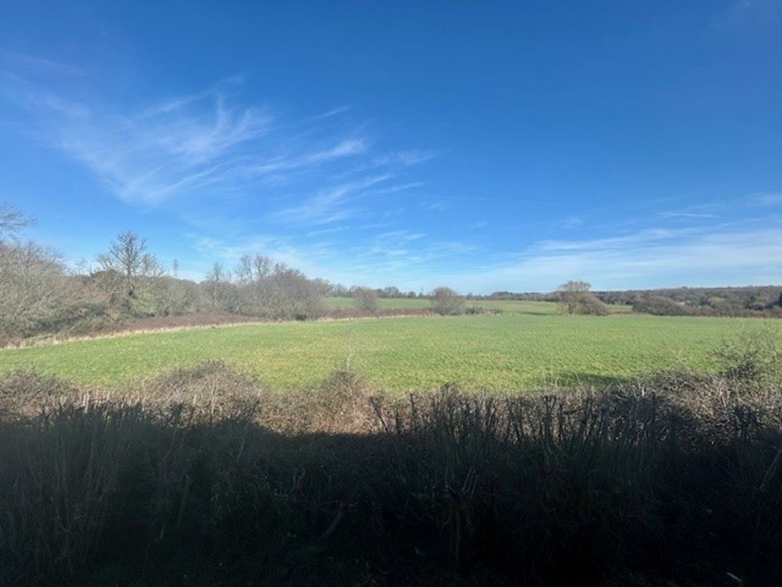 Queen Eleanor House, 11, Kingsclere Park, Kingsclere, Newbury, RG20 4SW