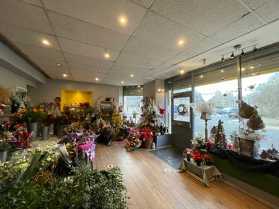 Property Image for 71 Mid Street, Fraserburgh, Aberdeenshire, AB43 9EP