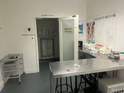 Property Image for Lower Ground at 33 High Street, Sheffield, S1 2GA