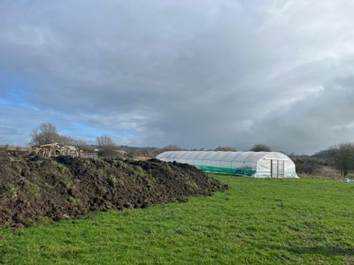 Property Image for Porchestall Drove, Glastonbury, Somerset, BA6 9RP