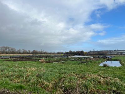 Property Image for Porchestall Drove, Glastonbury, Somerset, BA6 9RP