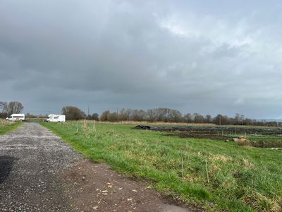 Property Image for Porchestall Drove, Glastonbury, Somerset, BA6 9RP
