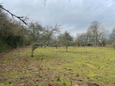 Property Image for Land At Munderfield, Munderfield, Bromyard, Herefordshire, HR7 4JU