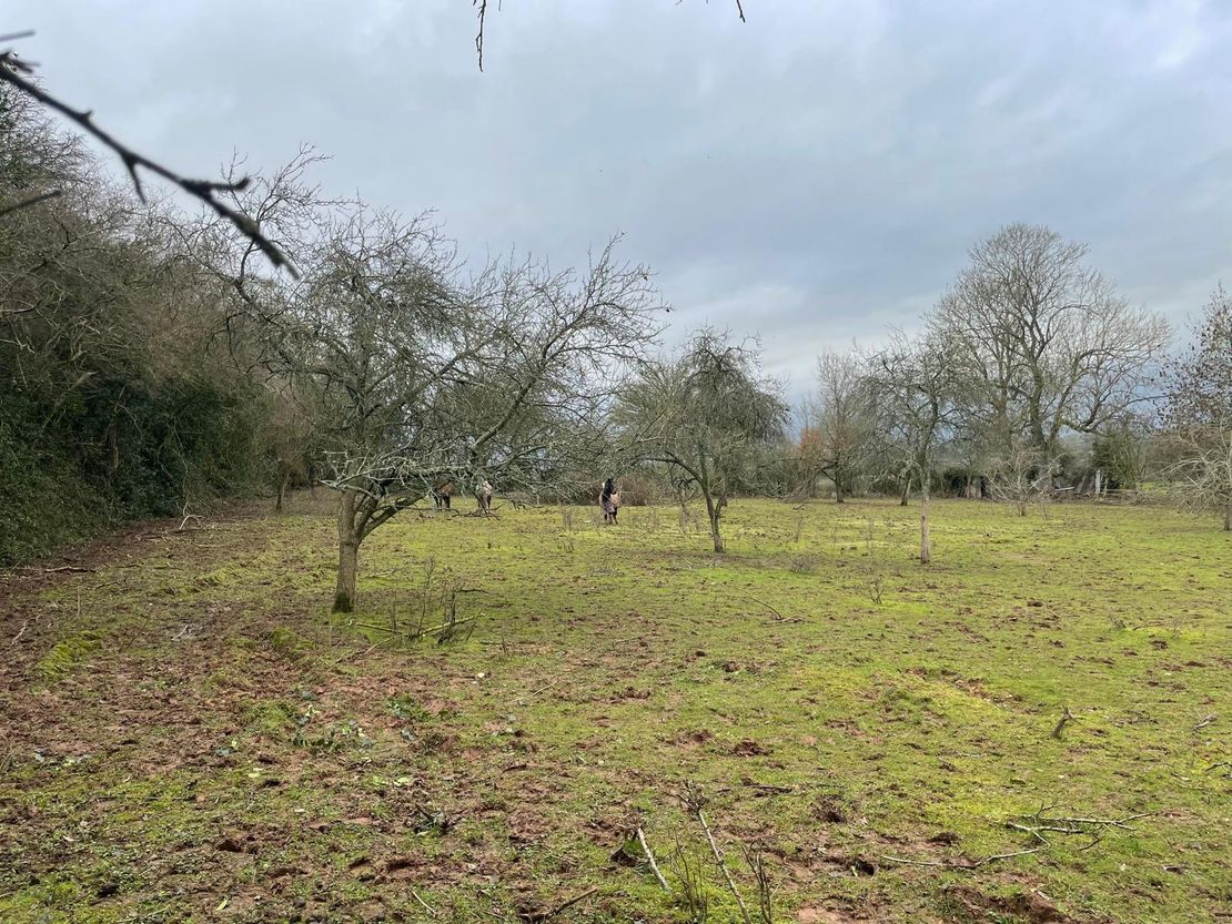 Land At Munderfield, Munderfield, Bromyard, Herefordshire, HR7 4JU