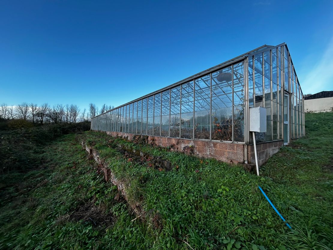Fernleigh Nurseries, Ludwell Lane, Ludwell Valley, Exeter, Devon, EX2 5AQ