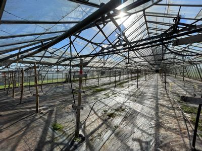 Property Image for Durbridge Road Nursery, Durbridge Road, Redmarley D'Abitot, Gloucestershire, GL19 3LP
