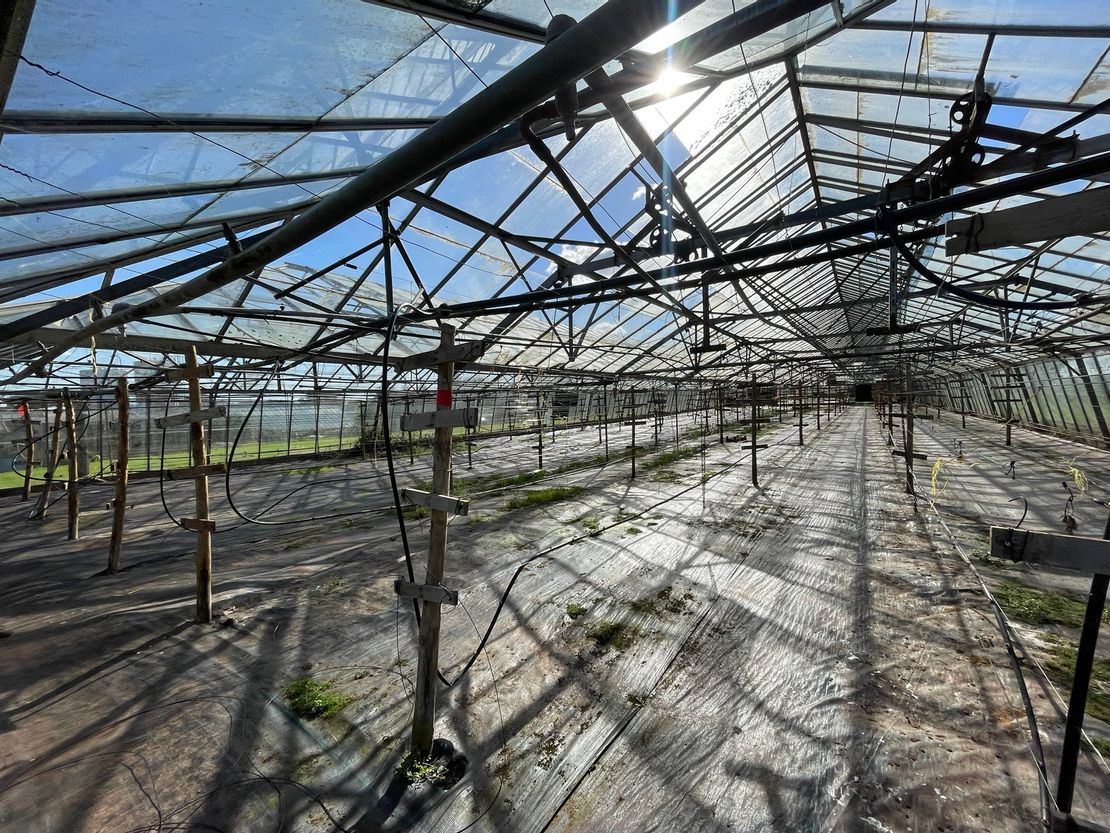 Durbridge Road Nursery, Durbridge Road, Redmarley D'Abitot, Gloucestershire, GL19 3LP