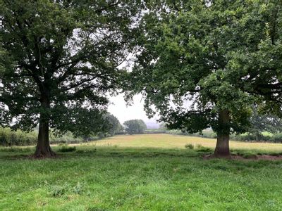 Property Image for Land At Court House Farm, Castle Road, Richards Castle, Shropshire, SY8 4EW