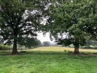 Property Image for Land At Court House Farm, Castle Road, Richards Castle, Shropshire, SY8 4EW