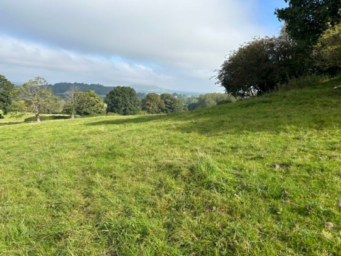 Lot 5 - Land At Prinknash, A46, Cranham, Gloucester, GL4 8EX
