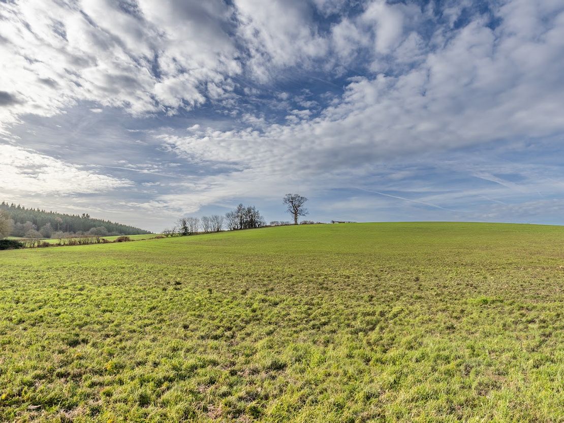 Hoarthorns Farm, Edge End, Coleford, Gloucestershire, GL16 7EY