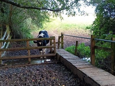 Property Image for Lot 3 - Land At Ruscombe And Humphreys End, Rushcombe Road, Rushcombe, Stroud, Gloucestershire, GL6 6EL