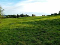 Property Image for Lot 3 - Land At Ruscombe And Humphreys End, Rushcombe Road, Rushcombe, Stroud, Gloucestershire, GL6 6EL