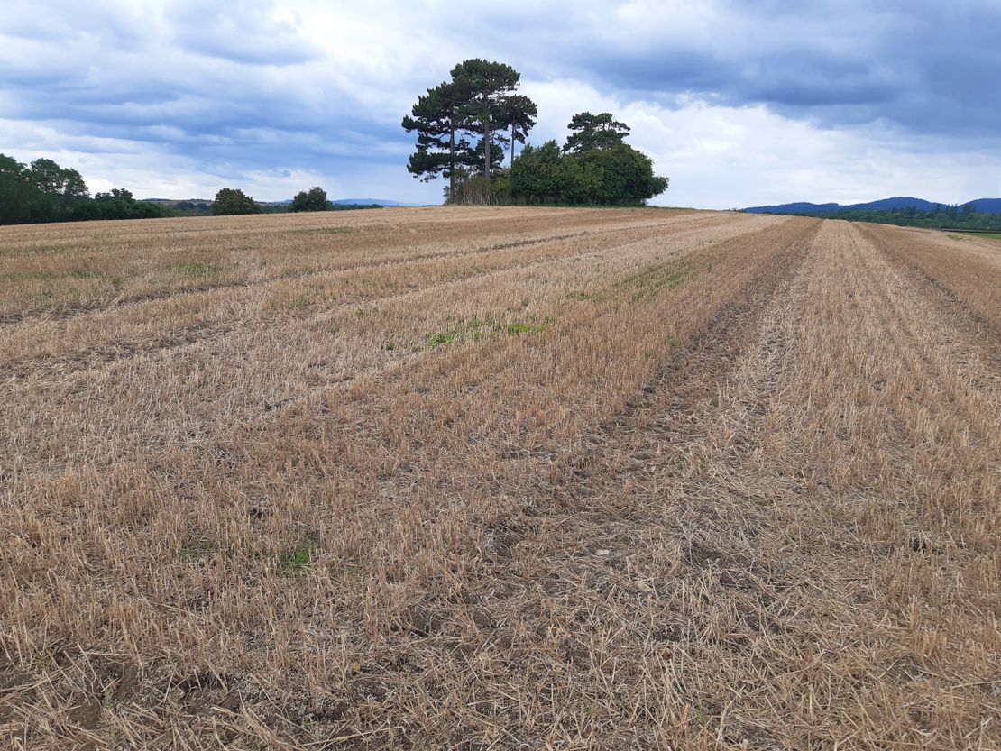 Land At Longdon Heath, Upton Upon Severn, Worcestershire, WR8 0RJ