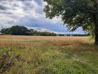 Property Image for Land At Longdon Heath, Upton Upon Severn, Worcestershire, WR8 0RJ